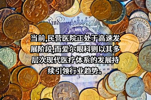 爱尔眼科医院集团股份有限公司