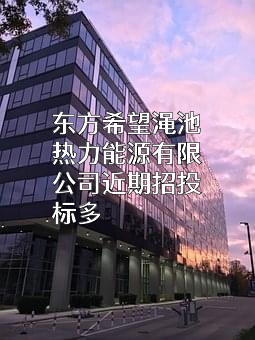 东方希望渑池热力能源有限公司近期招投标项目多