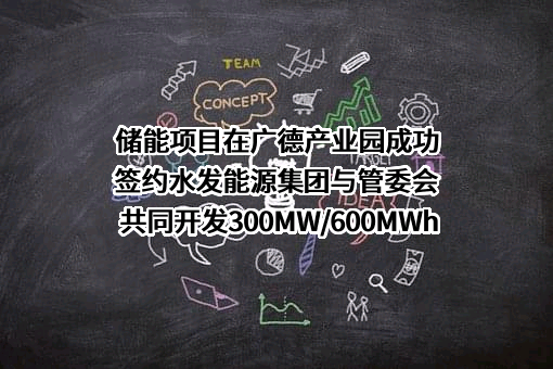 水发能源集团有限公司