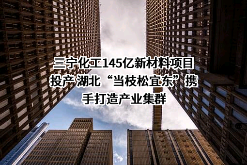 三宁化工145亿新材料项目投产 湖北“当枝松宜东”携手打造产业集群