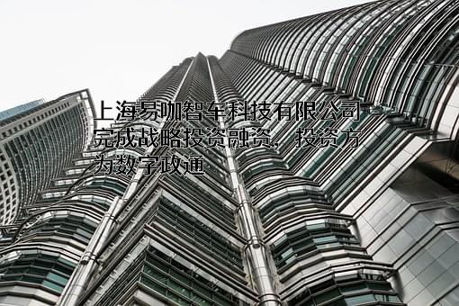 上海易咖智车科技有限公司
