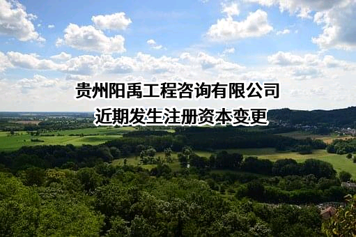 贵州阳禹工程咨询有限公司