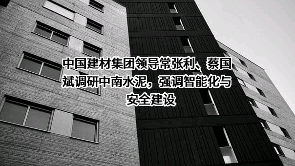赤壁中南水泥有限公司