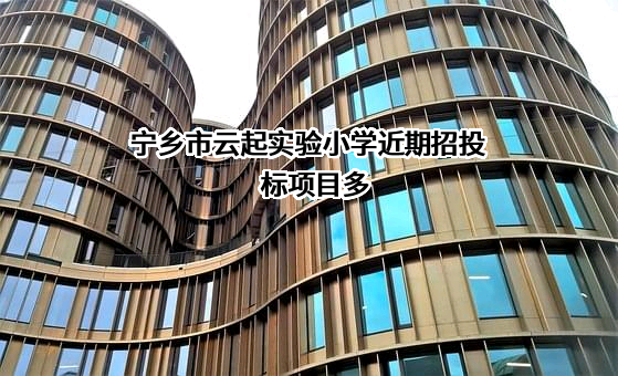 宁乡市云起实验小学近期招投标项目多