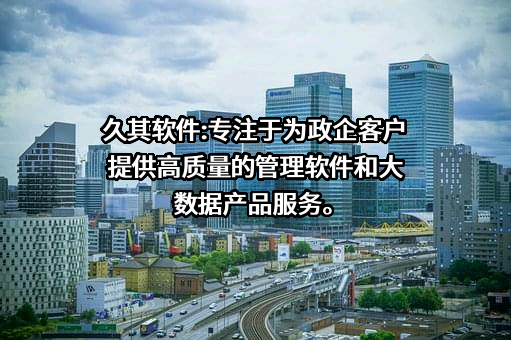 北京久其软件股份有限公司