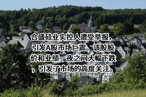 合盛硅业股份有限公司