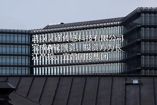 武汉灵途传感科技有限公司