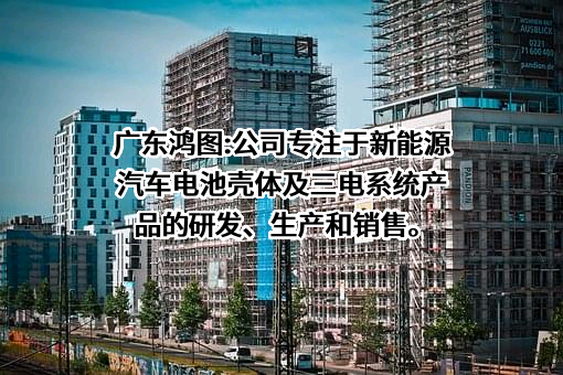 广东鸿图科技股份有限公司
