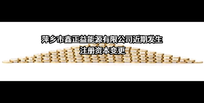 萍乡市鑫正益能源有限公司