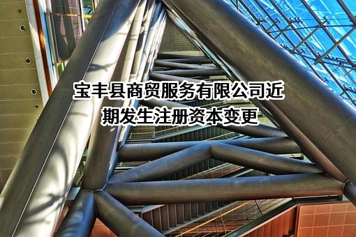 宝丰县商贸服务有限公司