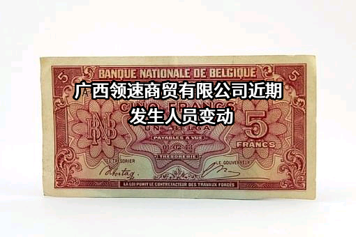 广西领速商贸有限公司