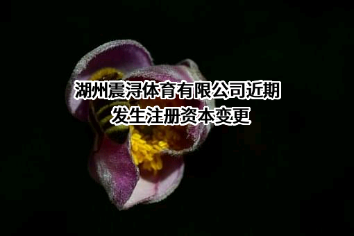 湖州震浔体育有限公司