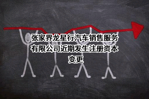 张家界龙星行汽车销售服务有限公司