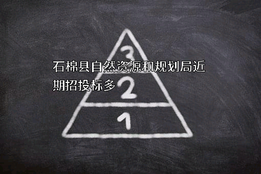 石棉县自然资源和规划局近期招投标项目多