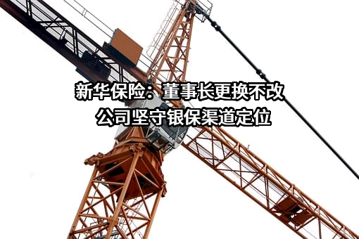 新华人寿保险股份有限公司