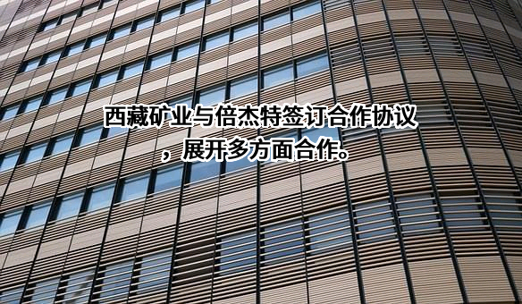 西藏矿业发展股份有限公司