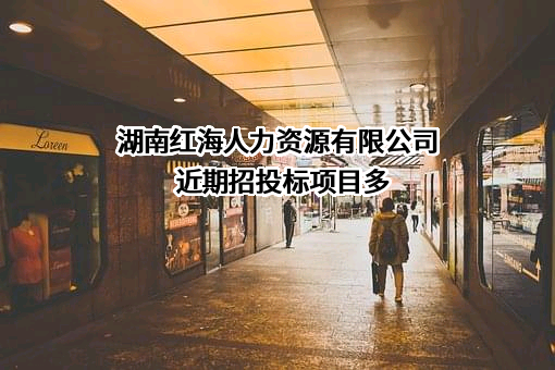 湖南红海人力资源有限公司