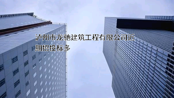 泸州市龙驰建筑工程有限公司