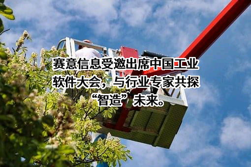 广州赛意信息科技股份有限公司