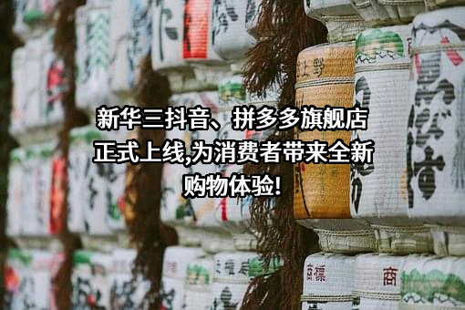 上海寻梦信息技术有限公司