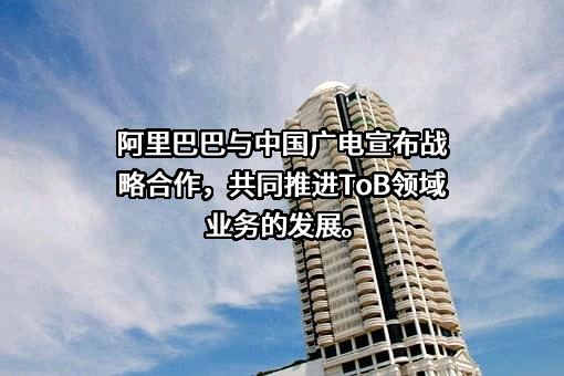 阿里巴巴（中国）网络技术有限公司