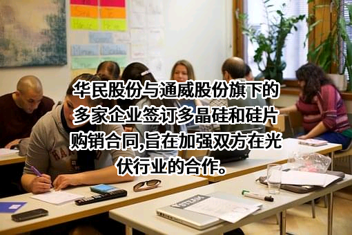 湖南华民控股集团股份有限公司