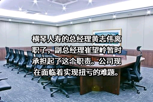 横琴人寿保险有限公司