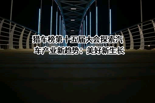 大众汽车（中国）投资有限公司