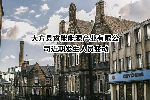 大方县睿能能源产业有限公司
