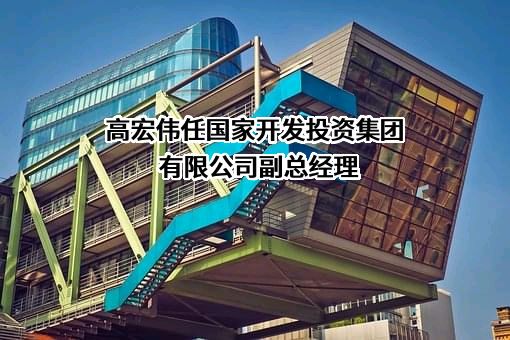 国家开发投资集团有限公司