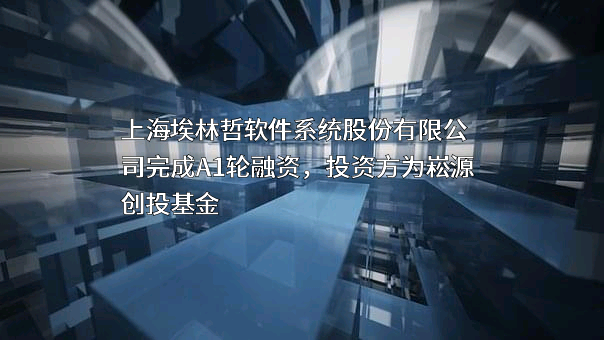 上海埃林哲软件系统股份有限公司