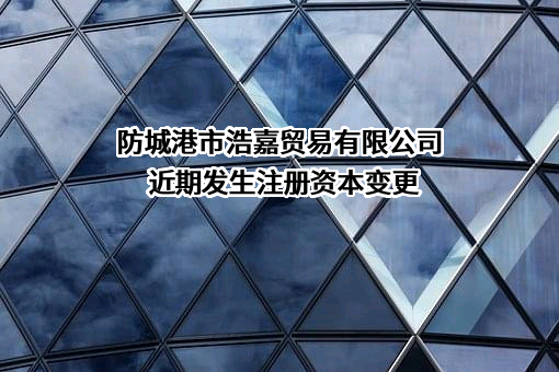 防城港市浩嘉贸易有限公司