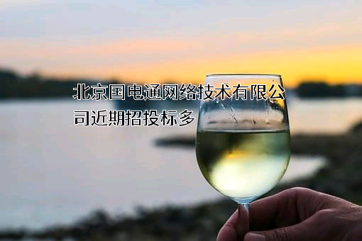 北京国电通网络技术有限公司
