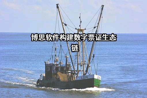 福建博思软件股份有限公司