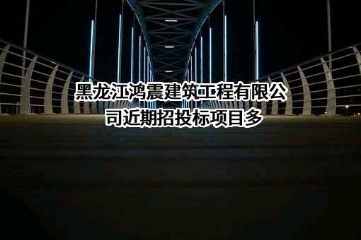 黑龙江鸿震建筑工程有限公司