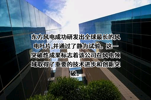 中海油新能源东方风电有限公司