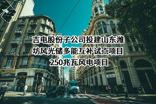吉林电力股份有限公司