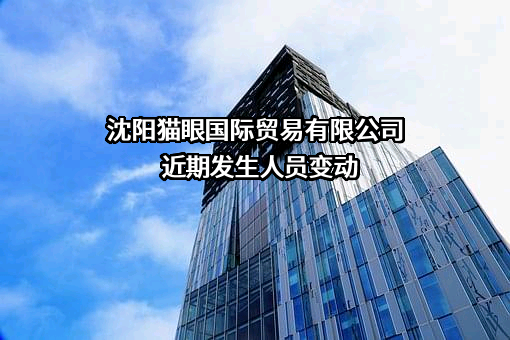 沈阳猫眼国际贸易有限公司