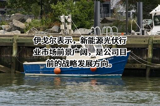 伊戈尔电气股份有限公司