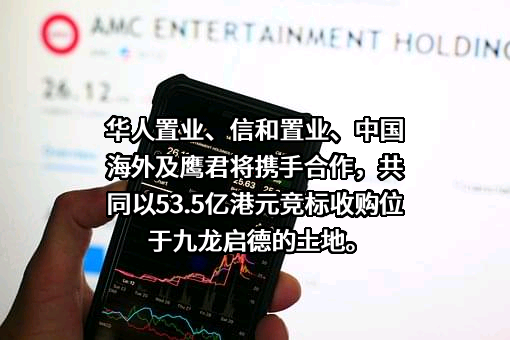 华人置业集团有限公司