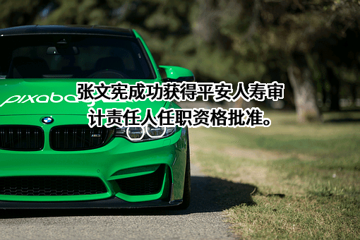 中国平安人寿保险股份有限公司