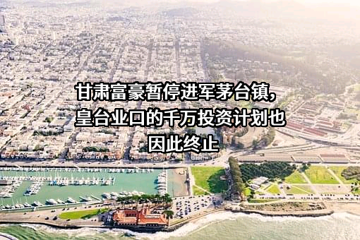 安徽古井集团有限责任公司
