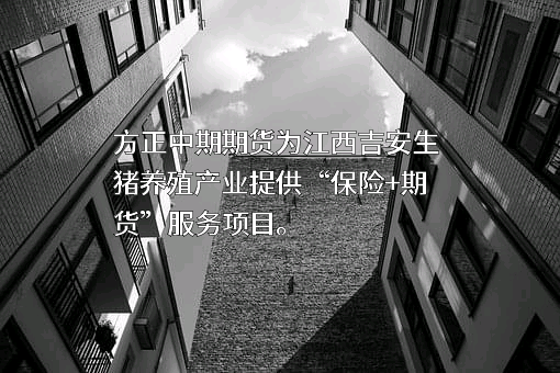 方正中期期货有限公司