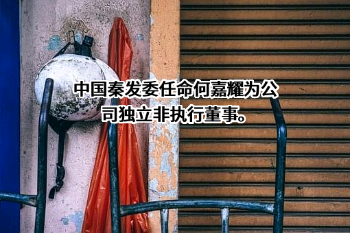 中国秦发集团有限公司