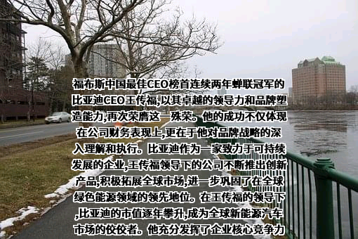 比亚迪股份有限公司