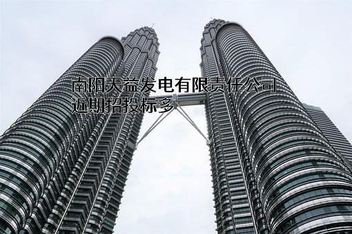 南阳天益发电有限责任公司