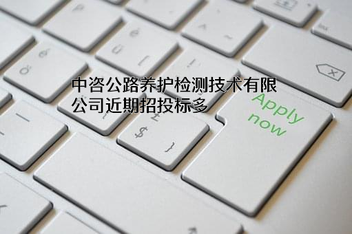 中咨公路养护检测技术有限公司