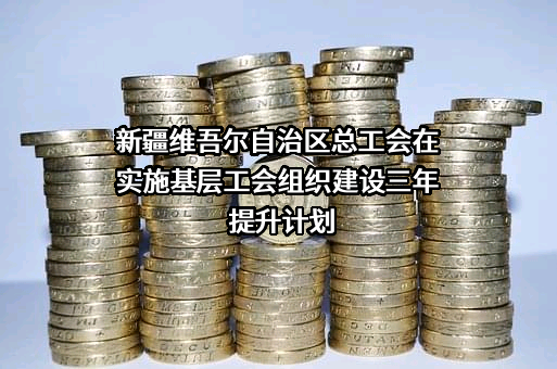 新疆维吾尔自治区总工会