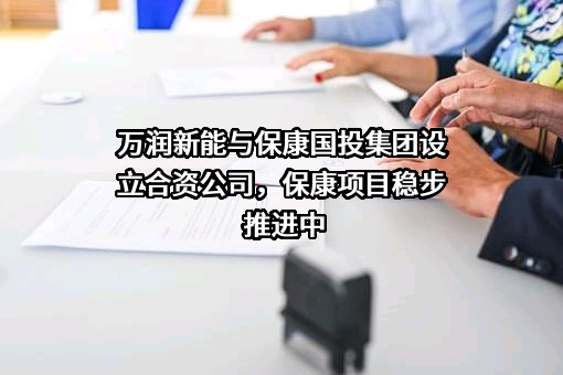 保康国有资本投资集团有限公司