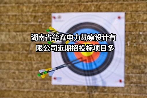 湖南省华鑫电力勘察设计有限公司